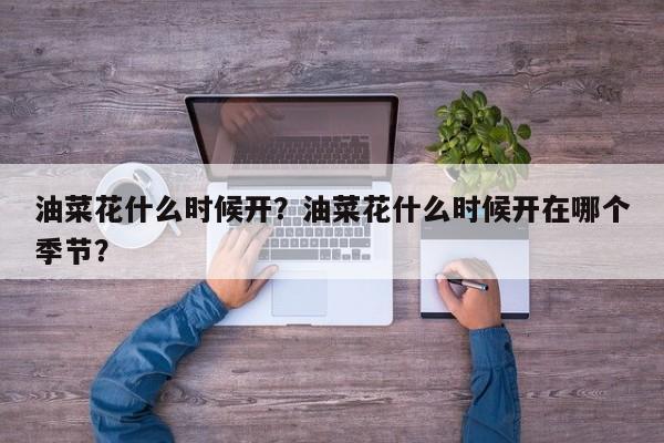 油菜花什么时候开？油菜花什么时候开在哪个季节？-第1张图片-傲风百科